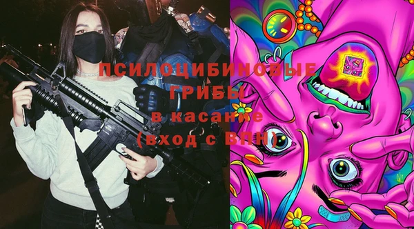 дурь Аркадак