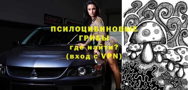 винт Армянск
