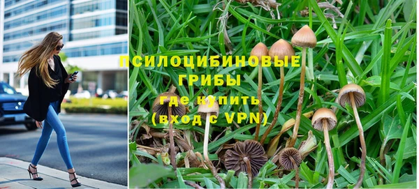 дурь Аркадак
